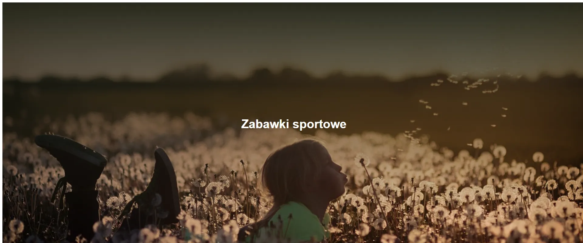 Zabawki sportowe